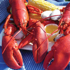 Homards à Woodman’s of Essex, Massachusetts