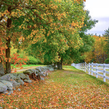 Bolton Orchards à l’automne dans le Massachusetts