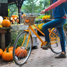 Morning Glory Farm à Edgartown, Massachusetts
