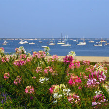 Vue sur le front de mer depuis le centre-ville de Hyannis, Massachusetts
